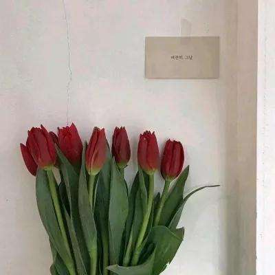 现代突击队射击任务游戏