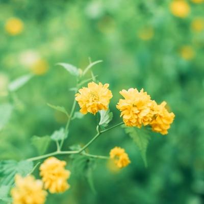 矩阵危机官方版下载